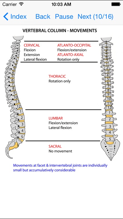 Anatomy Lectures Head and Neck screenshot-4