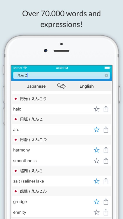 English-Japanese Dictionary +