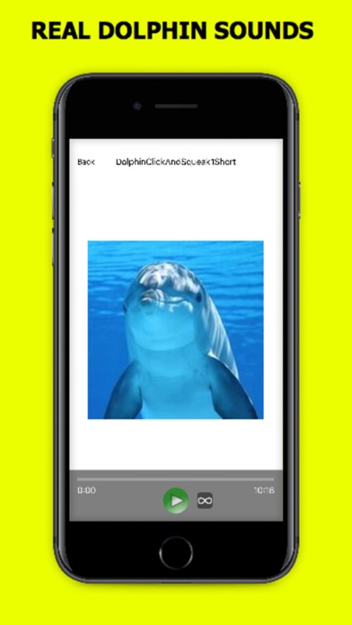 Dolphin Sound Effect screenshot 1