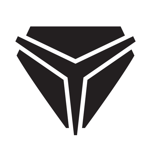 Slingshot Ride Command