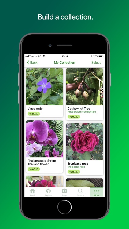 PlantSnap Pro: Identify Plants screenshot-4