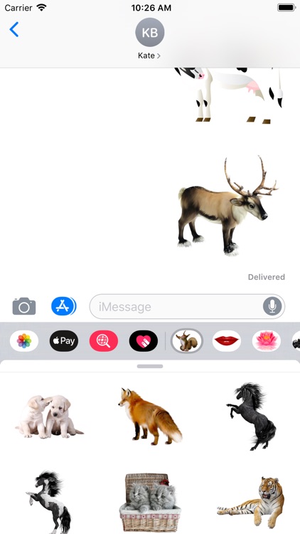 Amazing Zoo Stickers