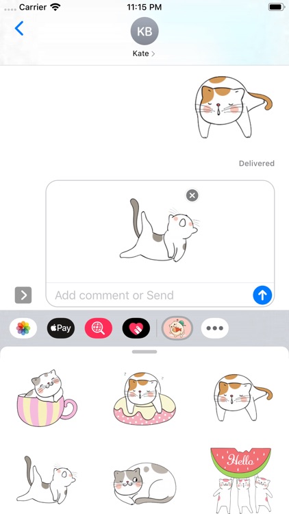 Dumb Cat Stickers