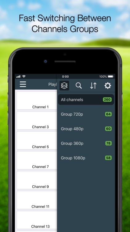 Flex IPTV