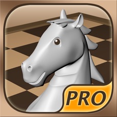 Activities of Chess Prime 3D Pro