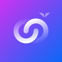 Connections by Mindvalley sur PC