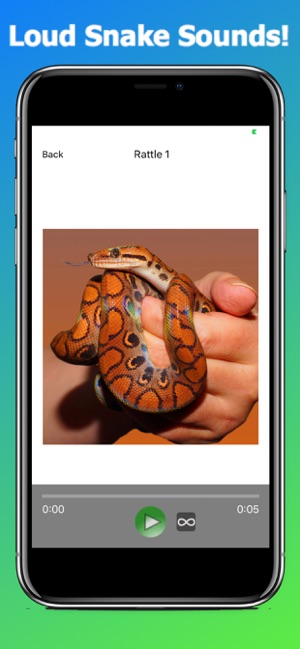 Snake Sounds Animal Sounds.!,(圖1)-速報App