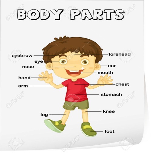 SmartLearnBodyParts