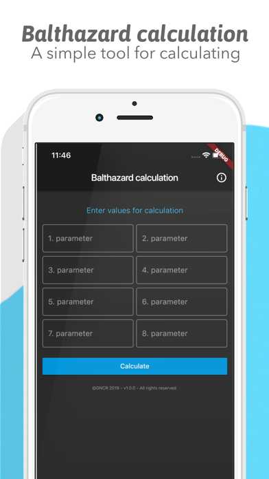 Balthazard calculation screenshot 3