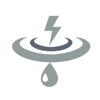 IEEE ICDL 2019 CONFERENCE