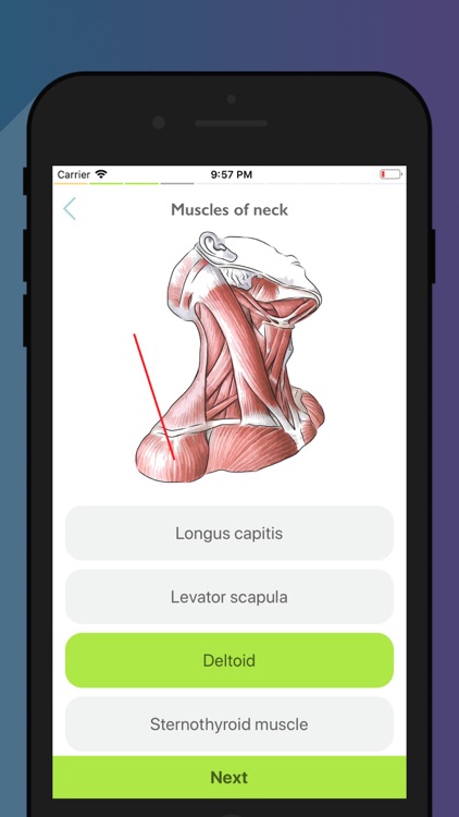 Easy Anatomy - Atlas & Quizzes screenshot-8
