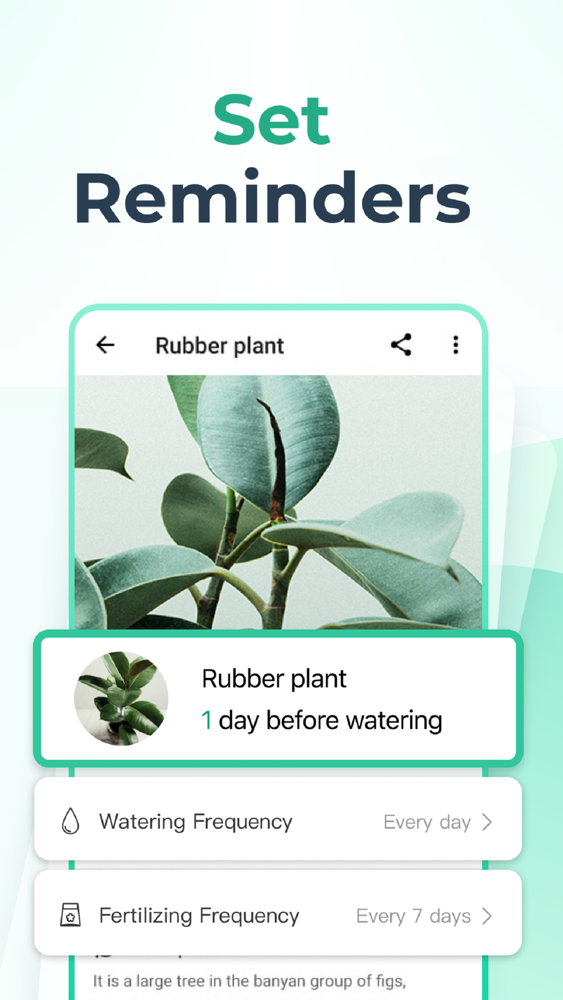 PictureThis Plant Identifier App For IPhone Free Download 
