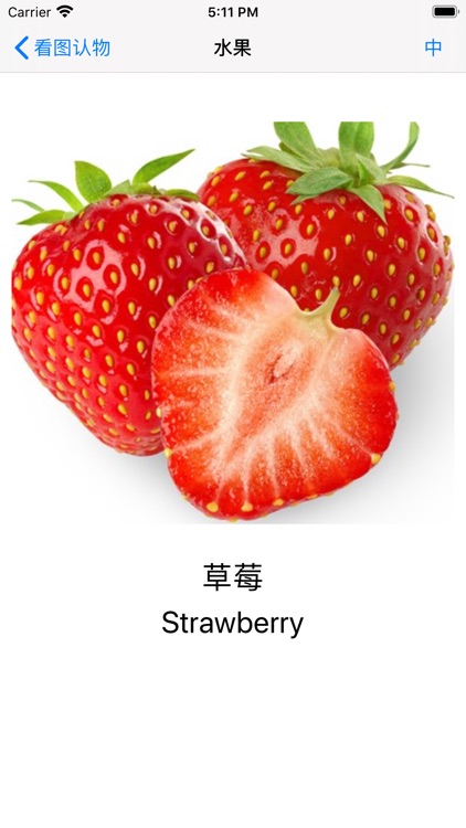 看图认物-卡片认物 ABC 英文字母