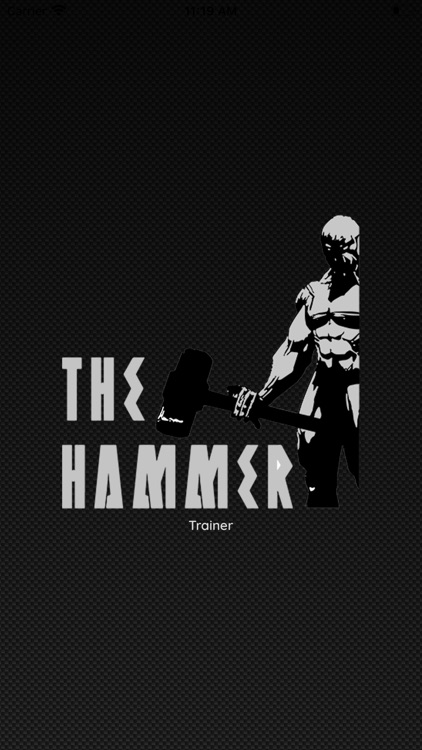 Hammer Support