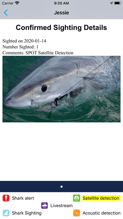 Sharktivity