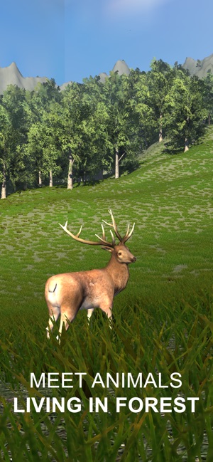 Explain 3D: Forest animals(圖1)-速報App