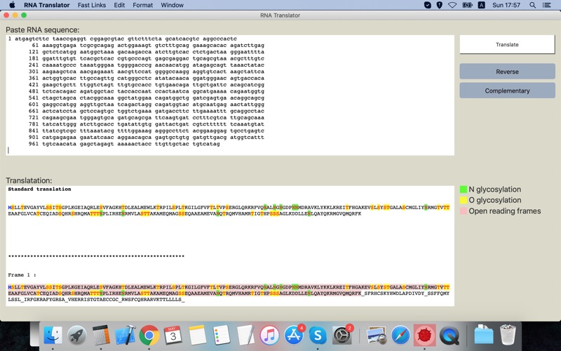 RNA Translator screenshot1