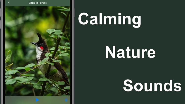 White Noise Deep Sleep Sounds screenshot-5