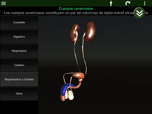 Screenshot 4 Órganos 3D (anatomía) iphone