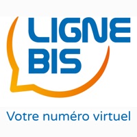 Ligne Bis pour PC