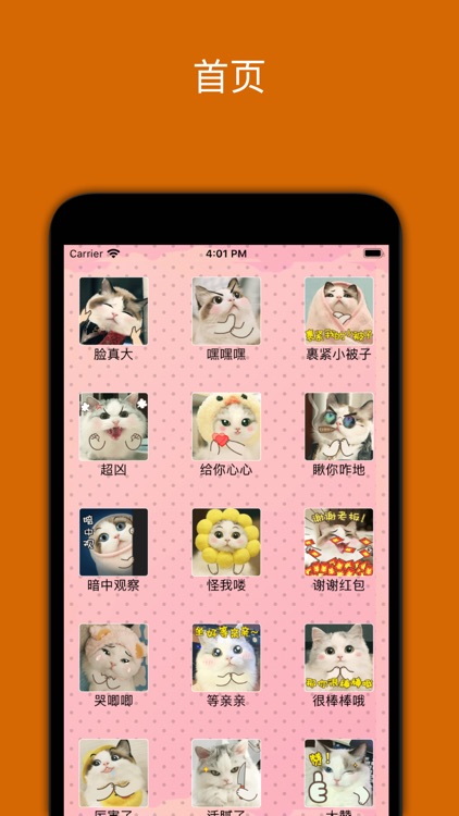情话猫