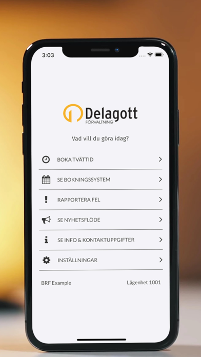 Delagott screenshot 2