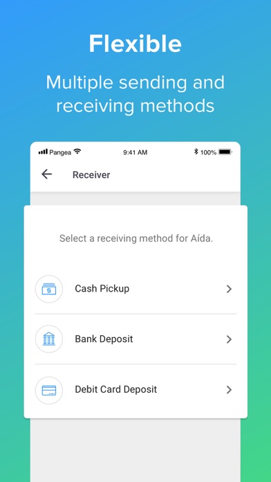 Remmesa Money Transfer screenshot 3