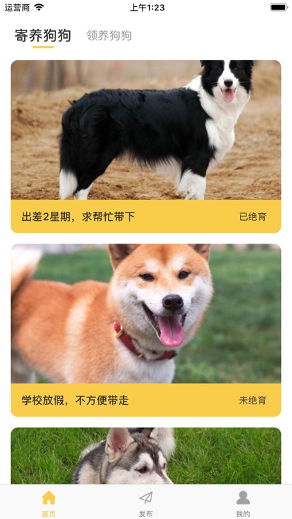 萌犬客栈