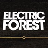 Electric Forest Festival Electric Forest Festival