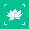 万物识别 - 原植物识别App