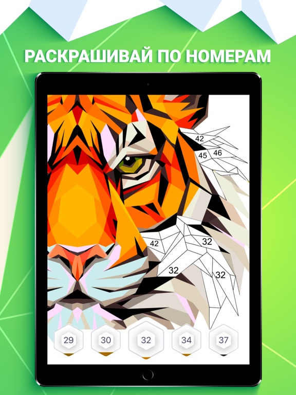 POLYGON – Раскраски по номерам для iPad
