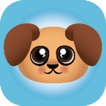 TapsForPups Cute Dog Pictures