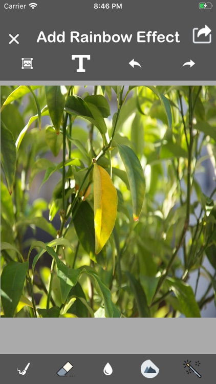 Make My Rainbow Photo