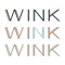 With the Wink Salon mobile app, booking services in the Asheville, NC area is easier than ever