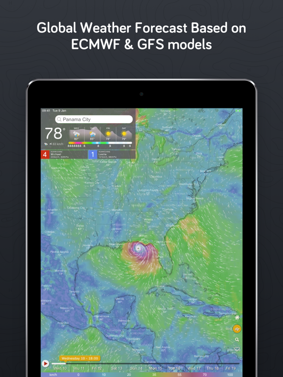 iPad Image of Windy.com