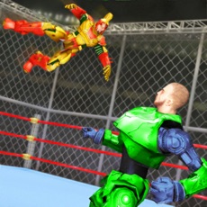 Activities of Robot Wrestling: Steel Fight