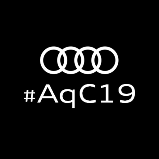 아우디콰트로컵