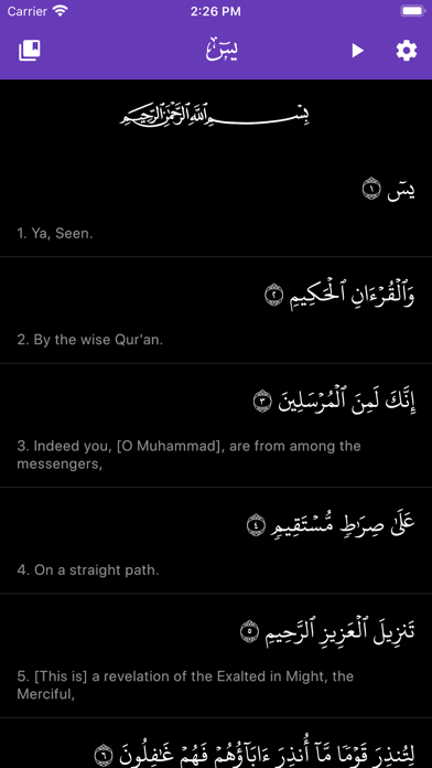 Surah Yasin with Translation screenshot 3
