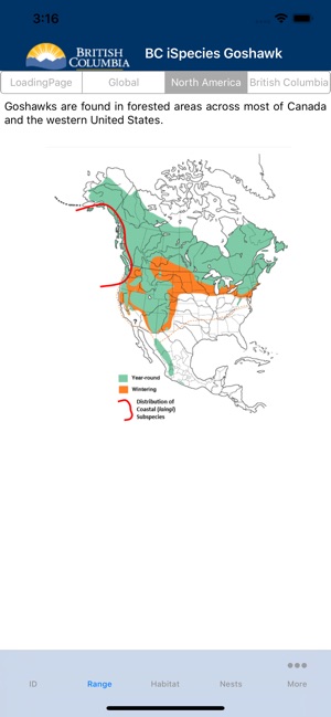 BC iSpecies Goshawk(圖2)-速報App