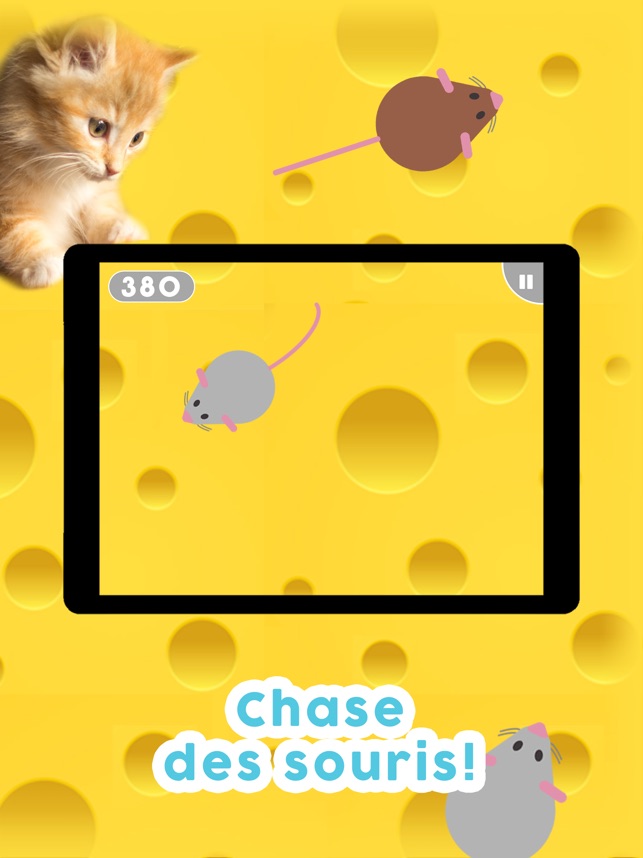 Jeux Pour Les Chats Dans L App Store