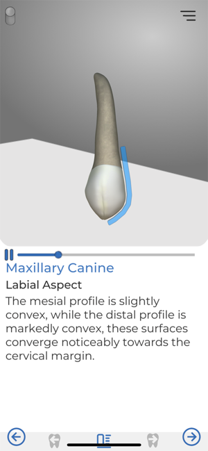 Immersify Dental(圖5)-速報App