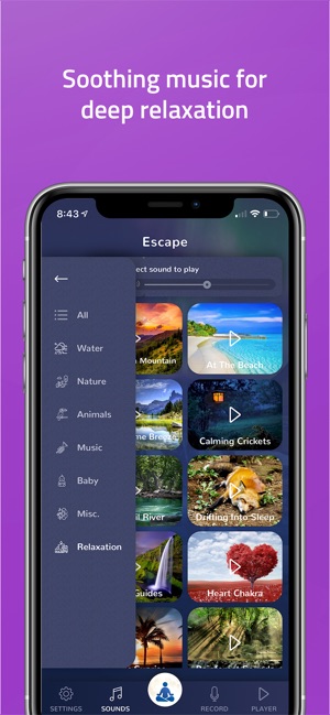 Relaxation Sounds & Melodies(圖6)-速報App
