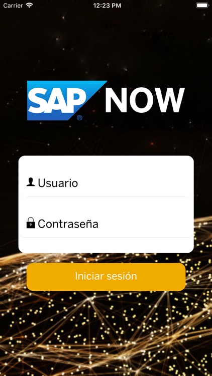 SAP NOW Perú - Ejecutivos