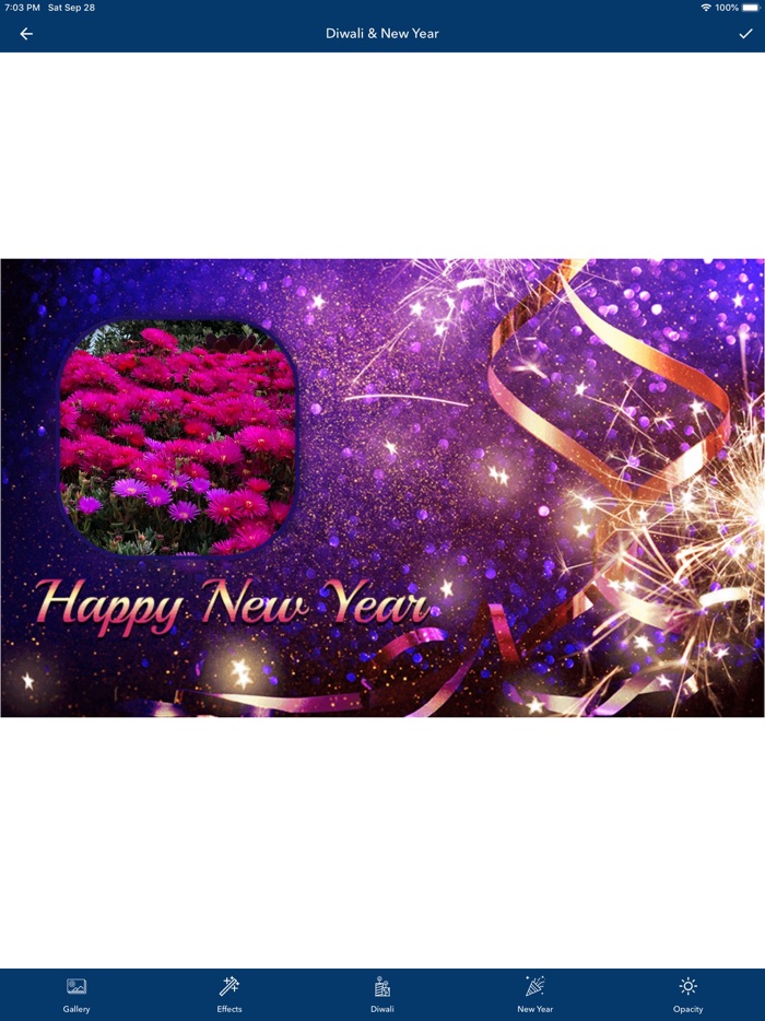 Diwali  New Year PIP Photo