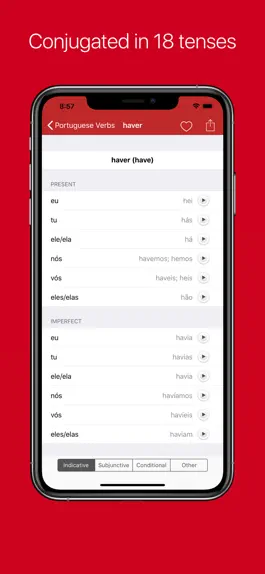 Game screenshot Portuguese Verb Conjugator Pro hack