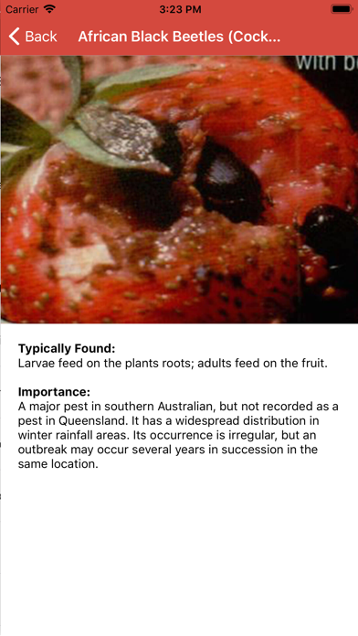 Strawberry Pest Identifier screenshot 2