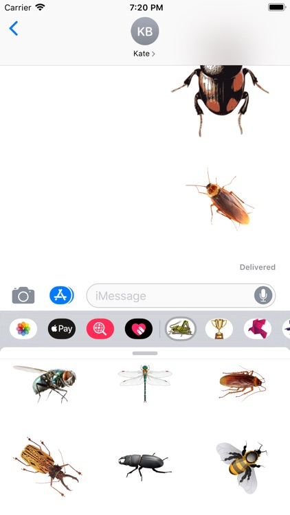 Insects Stickers