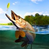 TAP Fishing - Fishing Game