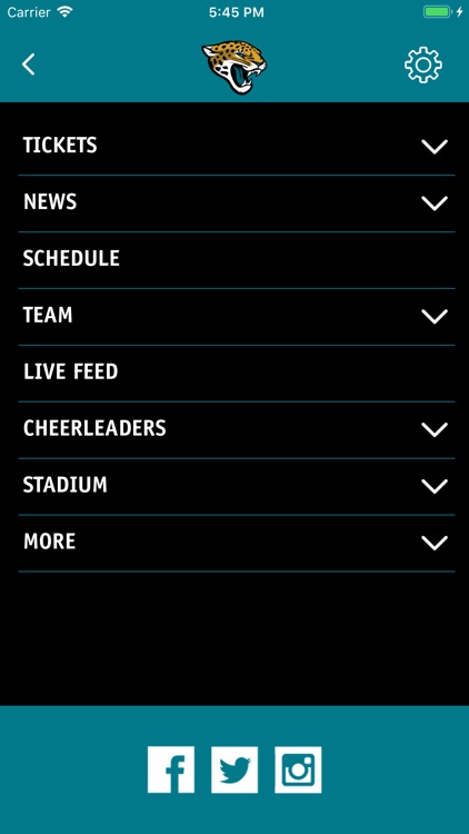 Official Jacksonville Jaguars