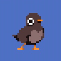 Pigeon Drop pour PC